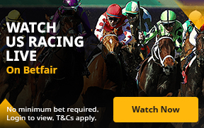 Live Horse Racing Betting Odds